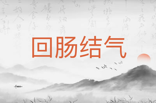 回肠结气