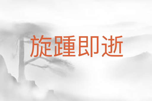 旋踵即逝