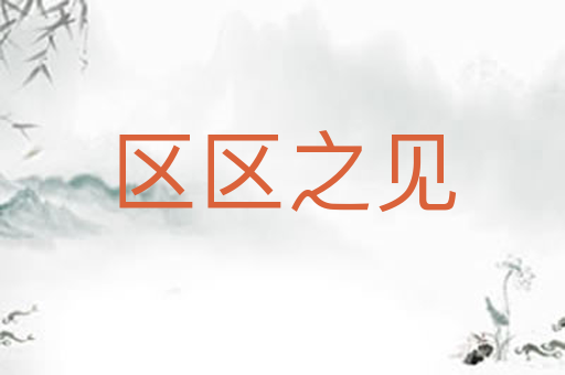 区区之见