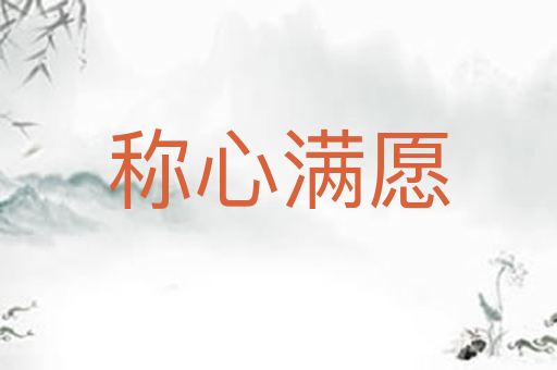 称心满愿