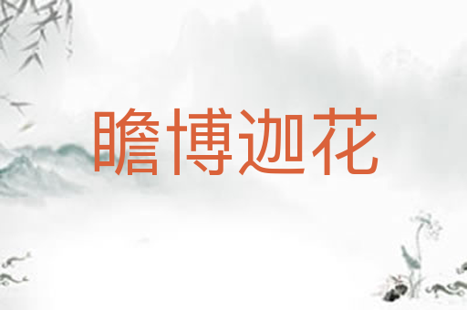 瞻博迦花