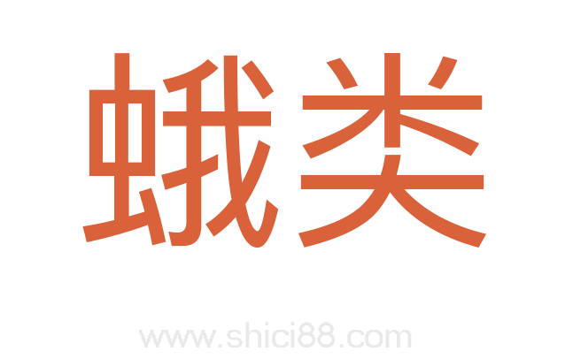 蛾类