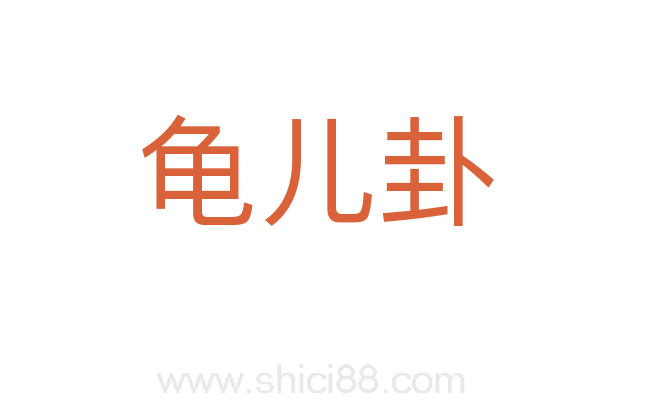 龟儿卦