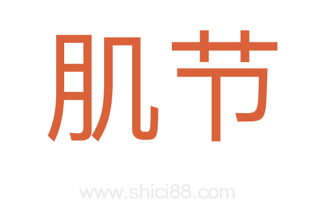 肌节