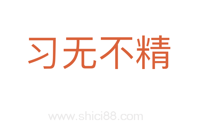 习无不精