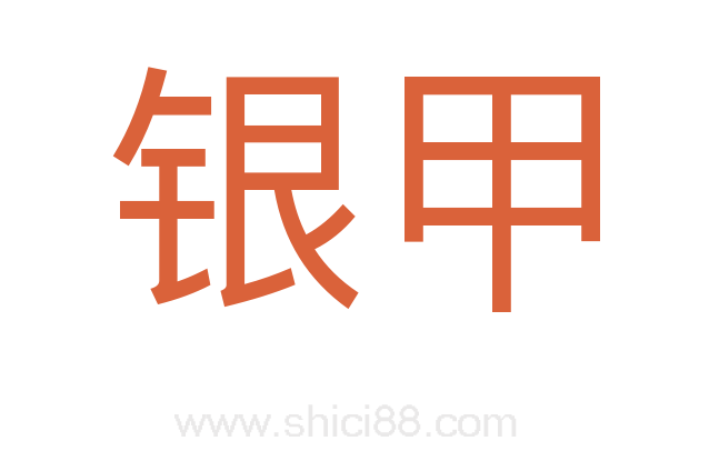 银甲