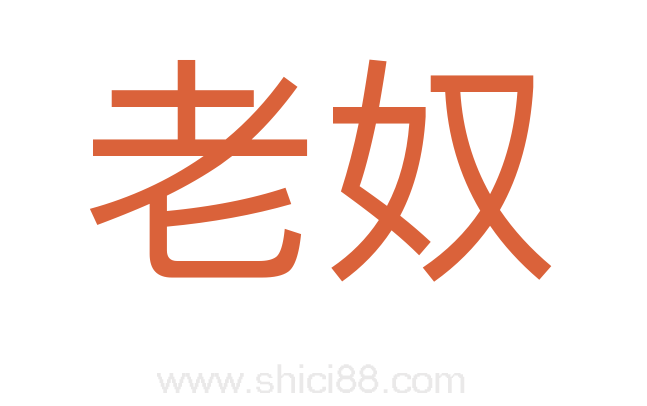老奴