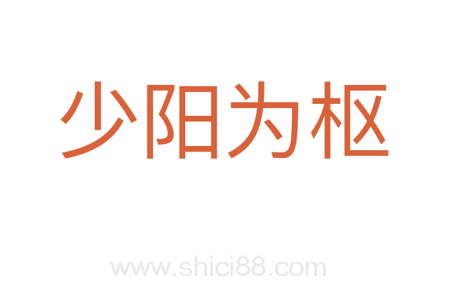 少阳为枢