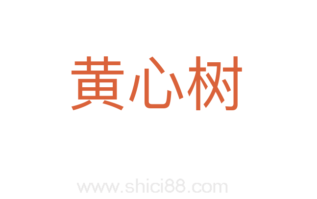 黄心树