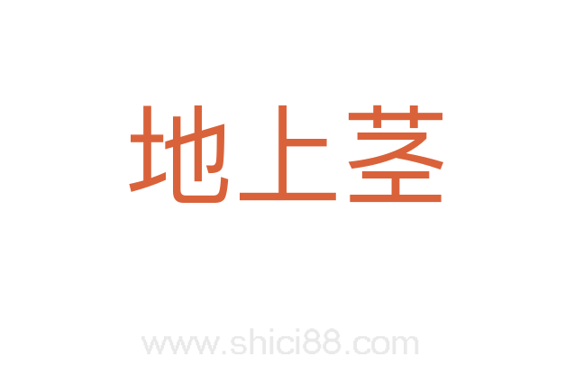 地上茎