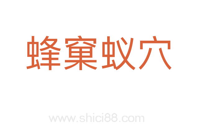 蜂窠蚁穴