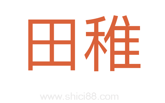 田稚
