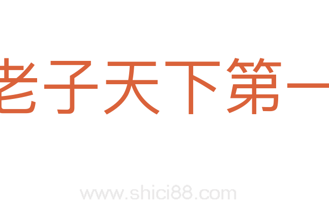 老子天下第一