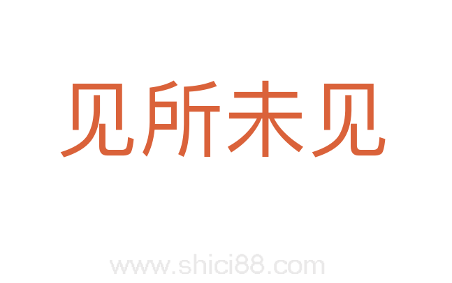 见所未见