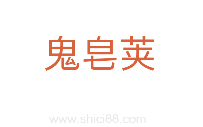 鬼皂荚