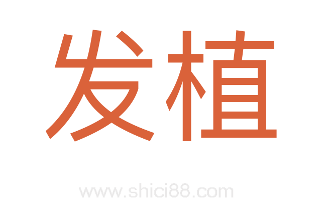 发植