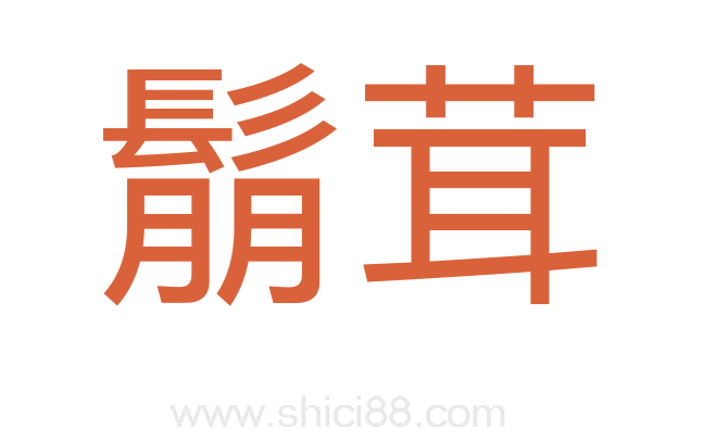 鬅茸