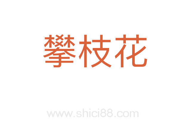 攀枝花