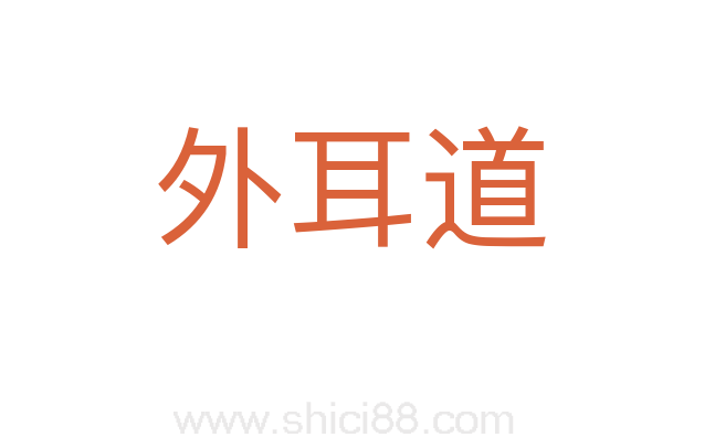 外耳道