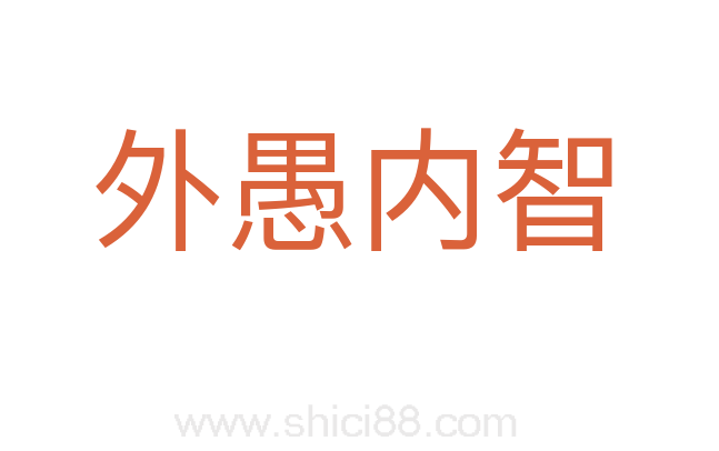 外愚内智