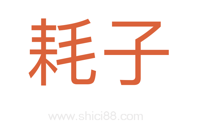 耗子