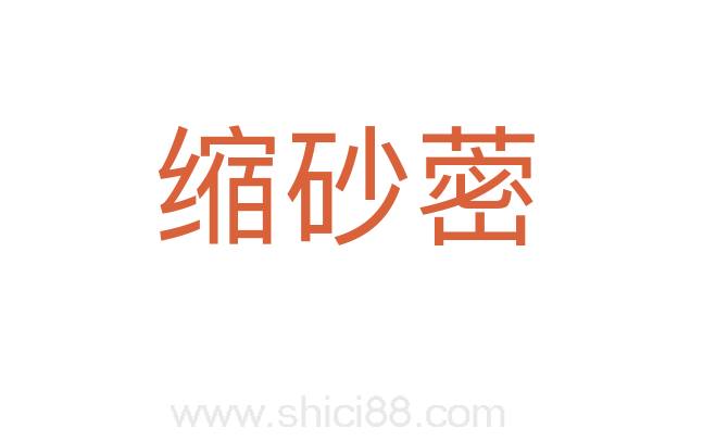 缩砂蔤