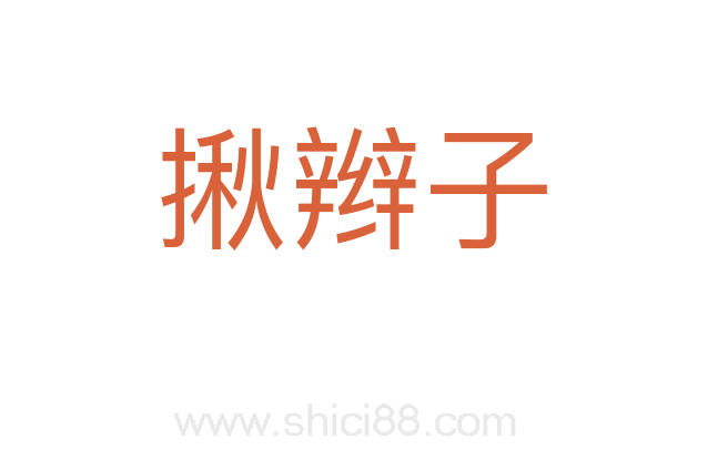 揪辫子