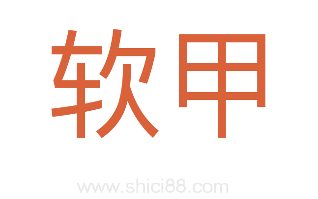 软甲