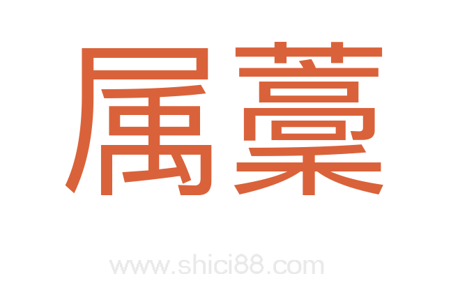 属藳