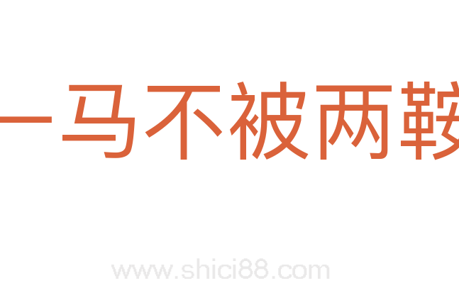 一马不被两鞍