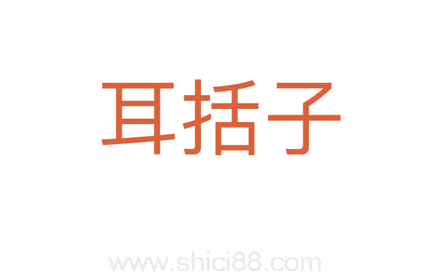 耳括子