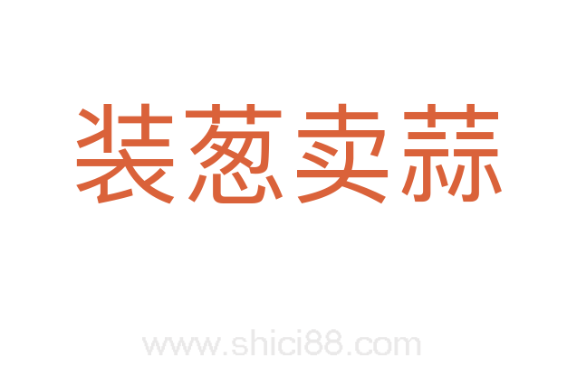 装葱卖蒜