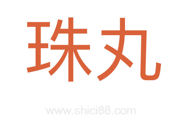 珠丸