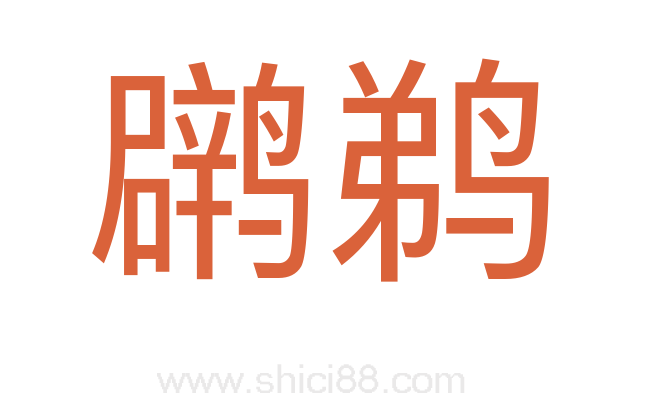 䴙鹈