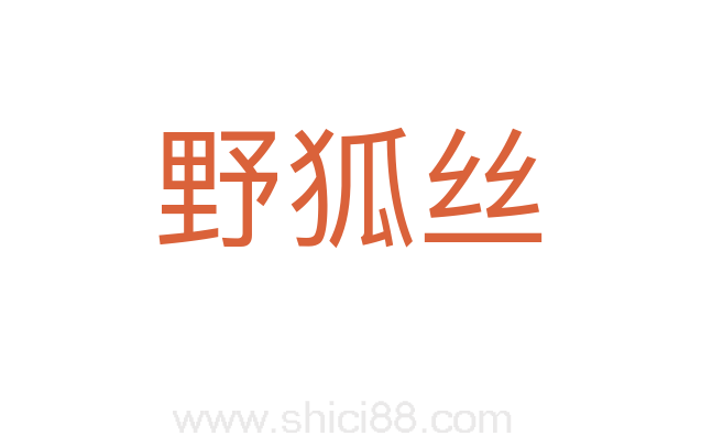野狐丝