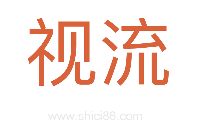 视流