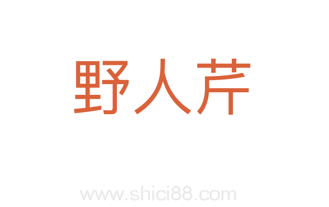 野人芹