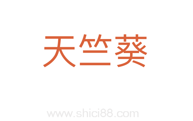 天竺葵