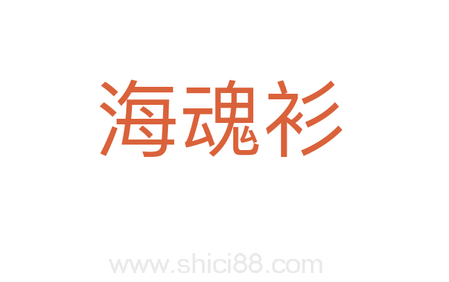 海魂衫