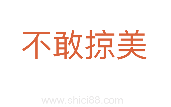 不敢掠美