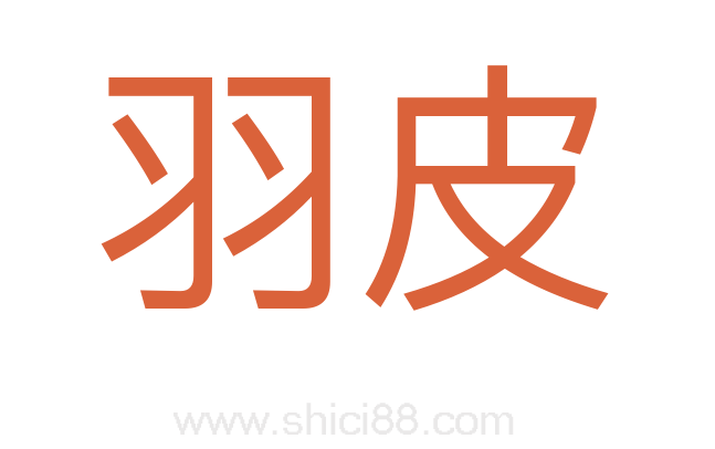 羽皮