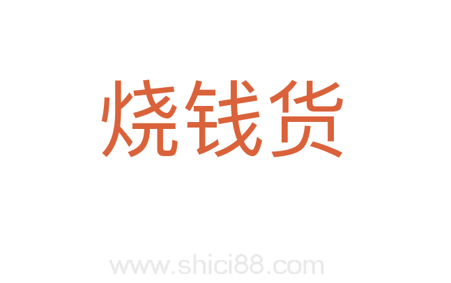 烧钱货