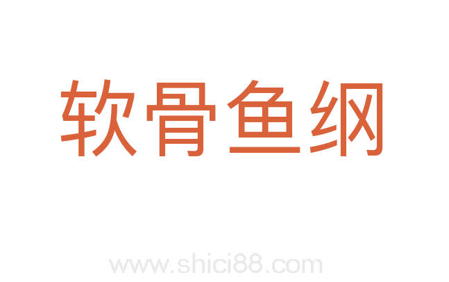 软骨鱼纲