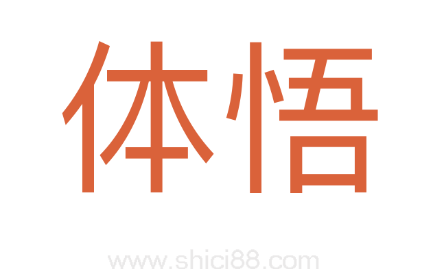 体悟