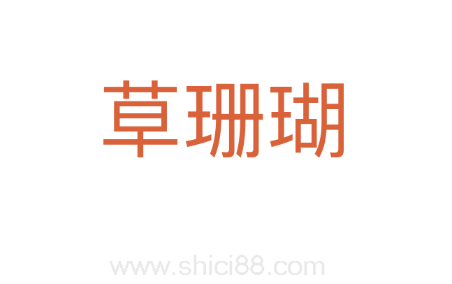 草珊瑚
