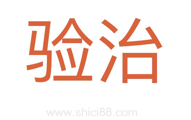 验治