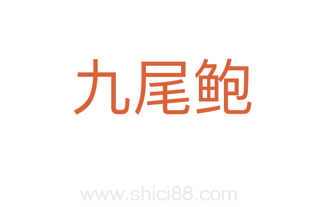 九尾鲍