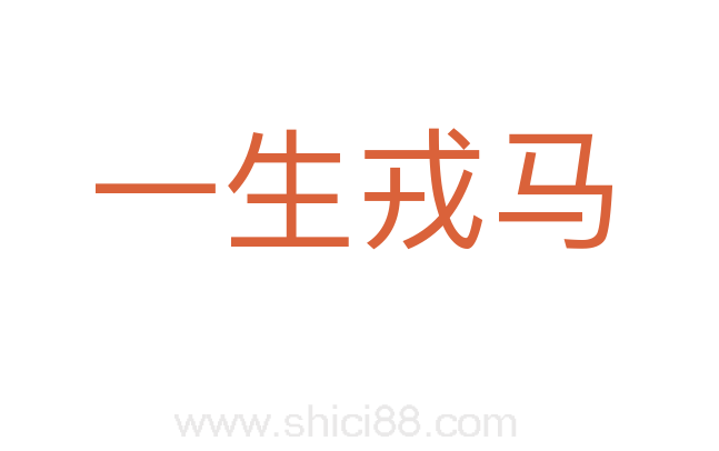 一生戎马