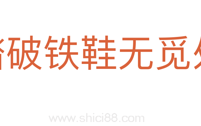 踏破铁鞋无觅处