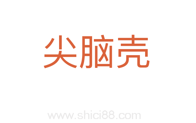 尖脑壳
